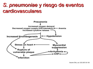 S. pneumoniae y riesgo de eventos
cardiovasculares




                           Musher DM y col. CID 2007;45:158
 