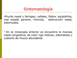 Sintomatología Prurito nasal y faríngeo, cefalea, fiebre, escalofríos, mal estado general, rinorrea,  obstrucción nasal, estornudos. En la rinoscopia anterior se encuentra la mucosa nasal congestiva, de color rojo intenso, edematoso y cubierto de mucus abundante.   