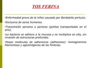 TOS FERINA Enfermedad grave de la niñez causada por Bordetella pertusis. Exclusiva de seres humanos. Transmisión persona a persona (gotitas transportadas en el aire). La bacteria se adhiere a la mucosa y se multiplica en ella, sin invasión de estructuras profundas. Posee moléculas de adherencia (adhesinas): hemaglutinina filamentosa y aglutinógenos de las fimbrias. 