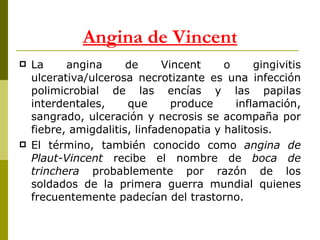 Angina de Vincent La angina de Vincent o gingivitis ulcerativa/ulcerosa necrotizante es una infección polimicrobial de las encías y las papilas interdentales, que produce inflamación, sangrado, ulceración y necrosis se acompaña por fiebre, amigdalitis, linfadenopatia y halitosis. El término, también conocido como  angina de Plaut-Vincent  recibe el nombre de  boca de trinchera  probablemente por razón de los soldados de la primera guerra mundial quienes frecuentemente padecían del trastorno. 