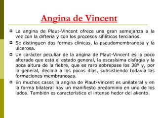 La angina de Plaut-Vincent ofrece una gran semejanza a la vez con la difteria y con los procesos sifilíticos terciarios. Se distinguen dos formas clínicas, la pseudomembranosa y la ulcerosa.  Un carácter peculiar de la angina de Plaut-Vincent es lo poco alterado que está el estado general, la escasísima disfagia y la poca altura de la fiebre, que es raro sobrepase los 38° y, por lo general, declina a los pocos días, subsistiendo todavía las formaciones membranosas. En muchos casos la angina de Plaut-Vincent es unilateral y en la forma bilateral hay un manifiesto predominio en uno de los lados. También es característico el intenso hedor del aliento.  Angina de Vincent 