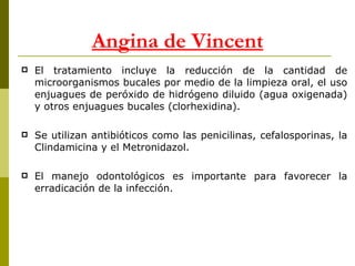 El tratamiento incluye la reducción de la cantidad de microorganismos bucales por medio de la limpieza oral, el uso enjuagues de peróxido de hidrógeno diluido (agua oxigenada) y otros enjuagues bucales (clorhexidina).  Se utilizan antibióticos como las penicilinas, cefalosporinas, la Clindamicina y el Metronidazol.  El manejo odontológicos es importante para favorecer la erradicación de la infección. Angina de Vincent 