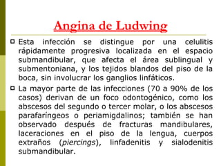 Angina de Ludwing Esta infección se distingue por una celulitis rápidamente progresiva localizada en el espacio submandibular, que afecta el área sublingual y submentoniana, y los tejidos blandos del piso de la boca, sin involucrar los ganglios linfáticos. La mayor parte de las infecciones (70 a 90% de los casos) derivan de un foco odontogénico, como los abscesos del segundo o tercer molar, o los abscesos parafaríngeos o periamigdalinos; también se han observado después de fracturas mandibulares, laceraciones en el piso de la lengua, cuerpos extraños ( piercings ), linfadenitis y sialodenitis submandibular.  