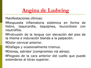 Manifestaciones clínicas: Respuesta inflamatoria sistémica en forma de fiebre, taquicardia, taquipnea, leucocitosis con neutrofilia. Protrusión de la lengua con elevación del piso de la misma e induración blanda a la palpación. Dolor cervical anterior. Disfagia y ocasionalmente trismus. Disnea, estridor (compromiso vía aérea). Flogosis de la cara anterior del cuello que puede extenderse al tórax superior.  Angina de Ludwing 