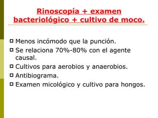 Rinoscopía + examen bacteriológico + cultivo de moco. Menos incómodo que la punción. Se relaciona 70%-80% con el agente causal. Cultivos para aerobios y anaerobios. Antibiograma. Examen micológico y cultivo para hongos. 