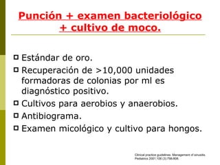 Punción + examen bacteriológico + cultivo de moco. Estándar de oro. Recuperación de >10,000 unidades formadoras de colonias por ml es diagnóstico positivo. Cultivos para aerobios y anaerobios. Antibiograma. Examen micológico y cultivo para hongos. Clinical practice guidelines. Management of sinusitis.   Pediatrics  200 1 ; 108  ( 3 ): 798-808.  