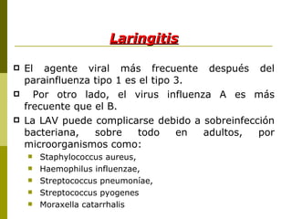 Laringitis El agente viral más frecuente después del parainfluenza tipo 1 es el tipo 3. Por otro lado, el virus influenza A es más frecuente que el B. La LAV puede complicarse debido a sobreinfección bacteriana, sobre todo en adultos, por microorganismos como: Staphylococcus aureus, Haemophilus influenzae, Streptococcus pneumoníae, Streptococcus pyogenes  Moraxella catarrhalis 