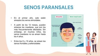 Infecciones Respiratorias Altas pptx infecciones-respiratorias-altas-pptx