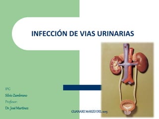 IPG
SilvioZambrano
Profesor:
Dr. JoséMartínez
INFECCIÓN DE VIAS URINARIAS
GUANAREMARZODEL2015
 