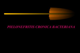 PIELONEFRITIS CRONICA BACTERIANA
 