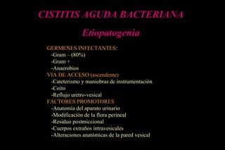 CISTITIS AGUDA BACTERIANA
Etiopatogenia
GERMENES INFECTANTES:
-Gram – (80%)
-Gram +
-Anaerobios
VIA DE ACCESO (ascendente)
-Cateterismo y maniobras de instrumentación
-Coito
-Reflujo uretro-vesical
FACTORES PROMOTORES
-Anatomía del aparato urinario
-Modificación de la flora perineal
-Residuo postmiccional
-Cuerpos extraños intravesicales
-Alteraciones anatómicas de la pared vesical
 