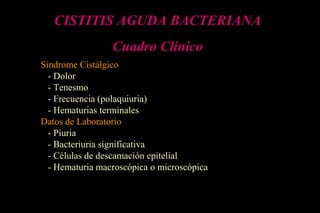 CISTITIS AGUDA BACTERIANA
Cuadro Clínico
Síndrome Cistálgico
- Dolor
- Tenesmo
- Frecuencia (polaquiuria)
- Hematurias terminales
Datos de Laboratorio
- Piuria
- Bacteriuria significativa
- Células de descamación epitelial
- Hematuria macroscópica o microscópica
 