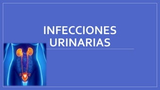 INFECCIONES
URINARIAS
 