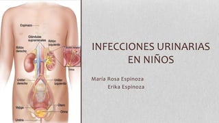 INFECCIONES URINARIAS
EN NIÑOS
María Rosa Espinoza
Erika Espinoza

 