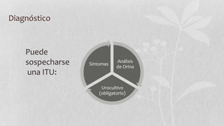 Diagnóstico

Puede
sospecharse
una ITU:

Síntomas

Análisis
de Orina

Urocultivo
(obligatorio)

 