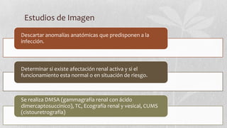 Estudios de Imagen
Descartar anomalías anatómicas que predisponen a la
infección.

Determinar si existe afectación renal activa y si el
funcionamiento esta normal o en situación de riesgo.

Se realiza DMSA (gammagrafía renal con ácido
dimercaptosuccinico), TC, Ecografía renal y vesical, CUMS
(cistouretrografía)

 