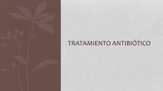 TRATAMIENTO ANTIBIÓTICO

 