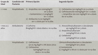 Grupo de
Edad

Condición del Primera Opción
Paciente

Segunda Opción

< 1 mes

Hospitalizado 1) Ampicilina 100-200mg/kg/IV
en 4 dosis
+ Gentamicina 5-7.5mg/kg/IV
en 1-2 dosis
2) Amikacina 15-20 mg/kg/IV
en 1-2 dosis por 10-14 días

1) Cefotaxima 150 mg/kg/IV en 3-4 dosis
2) Ceftriaxona 80-100mg/kg/IV en 1-2 dosis
+ Ampicilina 100-200 mg/kg/IV en 4 dosis
de 10-14 días

1 mes a 3
años

Ambulatorio

1) Amoxicilina/sulbactam o clavulanato
40 mg/kg/VO en 3 dosis
2) Ampicilina/sulbactam
50mg/kg/VO en 2 dosis
3) Cefalexina
50mg/kg/VO en 3 dosis

1) Cefixima
8mg/kg/VO 1 dosis diaria x 10-14 días

Hospitalizado 1) Ceftriaxona
50-75 mg /kg/IV o IM dosis única
2) Cefotaxima
150mg/kg/IV en 3-4
dosis x 10-14 días

1)Amoxicilina/sulbactam o clavulanato
100mg/kg/IV en 3 dosis
2) Gentamicina
5-7 mg/kg/IV o IM en 1-2 dosis por 10-14 días

 