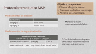 Objetivos terapéuticos:
1. Eliminar el agente causal.
2. Controlar los factores de riesgo.
3. Aliviar la síntomatología.

Protocolo terapéutico MSP
Medicamentos de elección
Gentamicina
2 mg/kg IV
1.5 mg/kg IV

Mantener el Tto IV
mientras persista la fiebre.

Dosis inicial
Cada 8 horas

Medicamentos de segunda elección
Amoxicilina + ácido clavulánico
(Jarabe con 125 + 31.25 y 250 + 62.5 mg/5 mL)

3 meses - 12 años de edad

30 mg/kg

Cada 8

Niños mayores de 12 años

1.2 g (amoxicilina) Cada 8 horas

En Tto de infecciones más graves,
↑ frecuencia de administración a
intervalos cada seis horas.

 