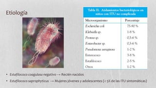 Etiología

• Estafilococo coagulasa negativo → Recién nacidos
• Estafilococo saprophyticus → Mujeres jóvenes y adolescentes (< 5% de las ITU sintomáticas)

 