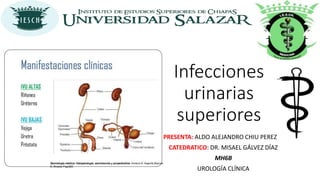 Infecciones
urinarias
superiores
PRESENTA: ALDO ALEJANDRO CHIU PEREZ
CATEDRATICO: DR. MISAEL GÁLVEZ DÍAZ
MH6B
UROLOGÍA CLÍNICA
 