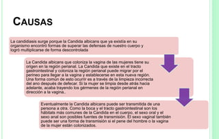 CAUSAS
La candidiasis surge porque la Candida albicans que ya existía en su
organismo encontró formas de superar las defensas de nuestro cuerpo y
logró multiplicarse de forma descontrolada
La Candida albicans que coloniza la vagina de las mujeres tiene su
origen en la región perianal. La Candida que existe en el tracto
gastrointestinal y coloniza la región perianal puede migrar por el
perineo para llegar a la vagina y establecerse en esta nueva región.
Una forma común de esto ocurrir es a través de la limpieza incorrecta
del ano después de defecar. Si la mujer se limpia desde atrás hacia
adelante, acaba trayendo los gérmenes de la región perianal en
dirección a la vagina..
Eventualmente la Candida albicans puede ser transmitida de una
persona a otra. Como la boca y el tracto gastrointestinal son los
hábitats más comunes de la Candida en el cuerpo, el sexo oral y el
sexo anal son posibles fuentes de transmisión. El sexo vaginal también
puede ser una forma de transmisión si el pene del hombre o la vagina
de la mujer están colonizados.
 