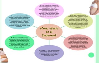 2.- Una infección de clamidia no
tratada también hace que sean más
susceptibles al virus de la
inmunodeficiencia humana (VIH) y
a otras enfermedades de
transmisión sexual, si se está
expuesta a ellas, se eleva el riesgo
de padecer una infección uterina
después del nacimiento del bebé.
3.- Si tiene una infección por
clamidia cuando comience el parto,
existe la posibilidad de que le
contagie la bacteria al bebé. De
hecho, hasta la mitad de los bebés
que nacen vaginalmente de madres
con clamidia no tratada (e incluso
algunos bebés nacidos por medio
de una cesárea) contraerán la
infección.
4.- Algunos de estos bebés
desarrollarán una infección en los
ojos (conjuntivitis), unos pocos días
después de nacer (las gotas o
cremas medicadas que le ponen al
bebé en los ojos al poco de nacer
previenen la conjuntivitis
por gonorrea, pero no las
infecciones debidas a clamidia).
5.- Entre el 5 y el 30 % de los bebés
que contraen clamidia durante el
parto desarrollarán neumonía, entre
unas semanas y unos meses
después de nacer.
6.- Aunque estas infecciones
pueden ser muy serias, los bebés a
quienes se tratan en seguida con
antibióticos por lo general no tienen
problemas. Por supuesto, lo mejor si
tiene clamidia es que le traten
durante el embarazo para evitar que
el bebé se infecte.
1.- Las mujeres embarazadas
tienden a tener niveles más altos de
infección en el saco y el líquido
amniótico, así como un mayor índice
de parto prematuro y ruptura
prematura de membranas, aunque
si se trata con rapidez puede
reducirse el riesgo de padecer estos
problemas.
 