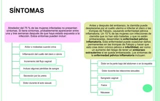 SÍNTOMAS
Alrededor del 75 % de las mujeres infectadas no presentan
síntomas. Si tiene síntomas, probablemente aparecerán entre
una y tres semanas después de que haya estado expuesta a la
infección. Estos síntomas pueden incluir:
Ardor o molestias cuando orina
Inflamación del cuello del útero o cérvix
Incremento del flujo vaginal
Incluso algunas pérdidas de sangre
Secreción por la uretra
Dolor durante el acto sexual.
Antes y después del embarazo, la clamidia puede
desplazarse por el cuello uterino e infectar el útero o las
trompas de Falopio, causando enfermedad pélvica
inflamatoria. Un 15 % de las mujeres con infecciones de
clamidia que no han sido tratadas, y que no están
embarazadas, desarrollan la enfermedad pélvica
inflamatoria. Esta enfermedad puede ocasionar daños
permanentes en las trompas de Falopio y hacer que
esto cree dolor crónico pélvico e infertilidad, así como
un aumento del riesgo de tener un embarazo
extrauterino si se queda embarazada. Los síntomas de
la enfermedad pélvica inflamatoria incluyen:
Dolor en la parte baja del abdomen o en la espalda
Dolor durante las relaciones sexuales
Sangrado vaginal
Fiebre
Náuseas
 