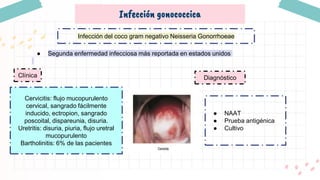 Infección gonococcica
Infección del coco gram negativo Neisseria Gonorrhoeae
Cervicitis: flujo mucopurulento
cervical, sangrado fácilmente
inducido, ectropion, sangrado
poscoital, dispareunia, disuria.
Uretritis: disuria, piuria, flujo uretral
mucopurulento
Bartholinitis: 6% de las pacientes
● Segunda enfermedad infecciosa más reportada en estados unidos
Clínica Diagnóstico
● NAAT
● Prueba antigénica
● Cultivo
 