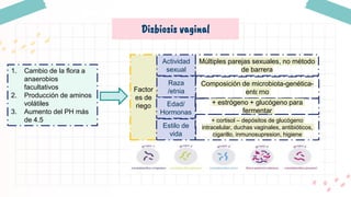Disbiosis vaginal
1. Cambio de la flora a
anaerobios
facultativos
2. Producción de aminos
volátiles
3. Aumento del PH más
de 4.5
Factor
es de
riego
Actividad
sexual
Raza
/etnia
Edad/
Hormonas
Estilo de
vida
Múltiples parejas sexuales, no método
de barrera
Composición de microbiota-genética-
entorno
+ estrógeno + glucógeno para
fermentar
+ cortisol – depósitos de glucógeno
intracelular, duchas vaginales, antibióticos,
cigarillo, inmunosupresion, higiene
 