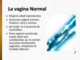 La vagina Normal
» Mujeres edad reproductiva
» Secrecion vaginal normal:
  Inodora, clara y viscosa.
» pH acido <4.5 ausencia de
  neutrófilos.
» Flora vaginal constituida
  mayor parte por
  Lactobacillus sp. Es común
  encontrar Gardnerella
  vaginales, streptococ B,
  Candida albicans.
 
