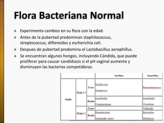 Flora Bacteriana Normal
» Experimenta cambios en su flora con la edad.
» Antes de la pubertad predominan staphilococcus,
  streptococcus, difteroides y escherichia coli.
» Despues de pubertad predomina el Lactobacillus aerophillus.
» Se encuentran algunos hongos, incluyendo Cándida, que puede
  proliferar para causar candidiasis si el pH vaginal aumenta y
  disminuyen las bacterias competidoras.
 