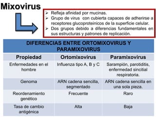 Infecciones virales del tracto respiratorio | PDF