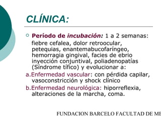 CLÍNICA:
 Período de incubación: 1 a 2 semanas:
  fiebre cefalea, dolor retroocular,
  petequias, enantemabucofaríngeo,
  hemorragia gingival, facies de ebrio
  inyección conjuntival, poliadenopatías
  (Síndrome tífico) y evolucionar a:
a.Enfermedad vascular: con pérdida capilar,
  vasoconstricción y shock clínico
b.Enfermedad neurológica: hiporreflexia,
  alteraciones de la marcha, coma.


          FUNDACION BARCELO FACULTAD DE ME
 