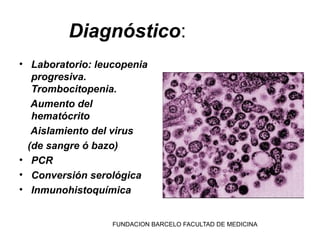 Diagnóstico:
• Laboratorio: leucopenia
   progresiva.
   Trombocitopenia.
   Aumento del
   hematócrito
   Aislamiento del virus
  (de sangre ó bazo)
• PCR
• Conversión serológica
• Inmunohistoquímica


                  FUNDACION BARCELO FACULTAD DE MEDICINA
 