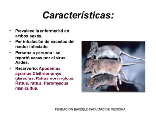 Características:
•   Prevalece la enfermedad en
    ambos sexos.
•   Por inhalación de excretas del
    roedor infectado
•   Persona a persona : se
    reportó casos por el virus
    Andes.
•   Reservorio: Apodemus
    agrarius,Clethrionomys
    glareolus, Rattus norvergicus,
    Rattus, rattus, Peromyscus
    manicultus.




                        FUNDACION BARCELO FACULTAD DE MEDICINA
 
