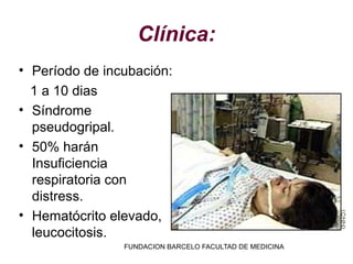 Clínica:
• Período de incubación:
  1 a 10 dias
• Síndrome
  pseudogripal.
• 50% harán
  Insuficiencia
  respiratoria con
  distress.
• Hematócrito elevado,
  leucocitosis.
                FUNDACION BARCELO FACULTAD DE MEDICINA
 