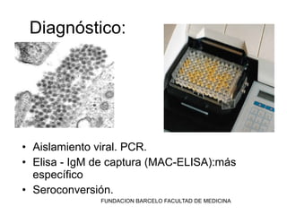 Diagnóstico:




• Aislamiento viral. PCR.
• Elisa - IgM de captura (MAC-ELISA):más
  específico
• Seroconversión.
              FUNDACION BARCELO FACULTAD DE MEDICINA
 