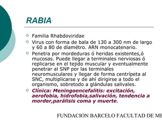 RABIA
   Familia Rhabdoviridae
   Virus con forma de bala de 130 a 300 nm de largo
    y 60 a 80 de diamétro. ARN monocatenario.
   Penetra por mordeduras ó heridas existentes,ó
    mucosas. Puede llegar a terminales nerviosas ó
    replicarse en el tejido muscular y eventualmente
    penetrar al SNP por las terminales
    neuromusculares y llegar de forma centrípeta al
    SNC, multiplicarse y de ahí dirigirse a todo el
    organismo, sobretodo a glándulas salivales.
   Clínica: Meningoencefalitis: excitación,
    aerofobia, hidrofobia,salivación, tendencia a
    morder,parálisis coma y muerte.


             FUNDACION BARCELO FACULTAD DE ME
 