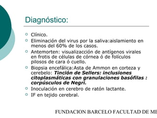 Diagnóstico:
   Clínico.
   Eliminación del virus por la saliva:aislamiento en
    menos del 60% de los casos.
   Antemorten: visualizacción de antígenos virales
    en frotis de células de córnea ó de folículos
    pilosos de cara ó cuello.
   Biopsia encefálica:Asta de Ammon en corteza y
    cerebelo: Tinción de Sellers: inclusiones
    citoplasmáticas con granulaciones basófilas :
    corpúsculos de Negri.
   Inoculación en cerebro de ratón lactante.
   IF en tejido cerebral.


              FUNDACION BARCELO FACULTAD DE ME
 