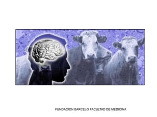 FUNDACION BARCELO FACULTAD DE MEDICINA
 