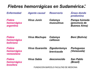 Fiebres hemorrágicas en Sudamérica:
Enfermedad    Agente causal    Reservorio         Áreas donde
                                                  predomina
Fiebre        Virus Junín      Calomys            Pampa húmeda
hemorrágica                    musculinus         (provincia de
argentina                                         Buenos Aires)



Fiebre        Virus Machupo    Calomys            Beni (Bolivia)
hemorrágica                    callosus
boliviana

Fiebre        Virus Guaranito Zigodontomys        Portuguesa
hemorrágica                   brevicauda          (Venezuela)
venezolana

Fiebre        Virus Sabia      desconocido        San Pablo
hemorrágica                                       (Brasil)
brasilera
                  FUNDACION BARCELO FACULTAD DE MEDICINA
 