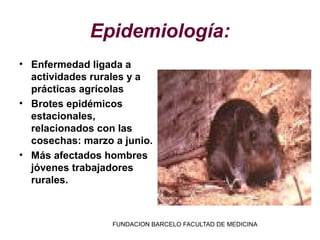 Epidemiología:
• Enfermedad ligada a
  actividades rurales y a
  prácticas agrícolas
• Brotes epidémicos
  estacionales,
  relacionados con las
  cosechas: marzo a junio.
• Más afectados hombres
  jóvenes trabajadores
  rurales.



                  FUNDACION BARCELO FACULTAD DE MEDICINA
 