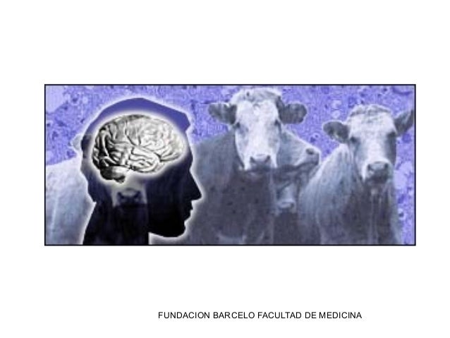 Infecciones virales zoonosis