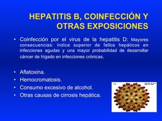 HEPATITIS B, COINFECCIÓN Y
OTRAS EXPOSICIONES
•  Coinfección por el virus de la hepatitis D: Mayores
consecuencias: índice superior de fallos hepáticos en
infecciones agudas y una mayor probabilidad de desarrollar
cáncer de hígado en infecciones crónicas.
•  Aflatoxina.
•  Hemocromatosis.
•  Consumo excesivo de alcohol.
•  Otras causas de cirrosis hepática.
 