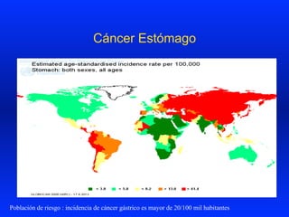 Cáncer Estómago
Población de riesgo : incidencia de cáncer gástrico es mayor de 20/100 mil habitantes
 