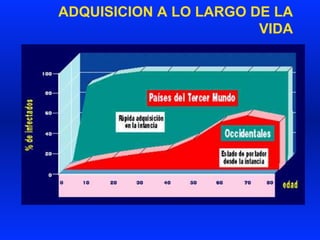 ADQUISICION A LO LARGO DE LA
VIDA
 