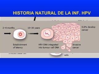 HISTORIA NATURAL DE LA INF. HPV
 