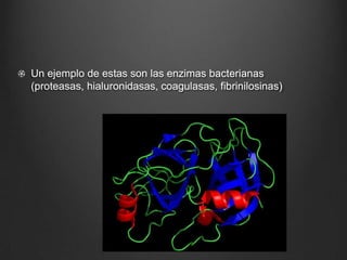 Un ejemplo de estas son las enzimas bacterianas
(proteasas, hialuronidasas, coagulasas, fibrinilosinas)
 