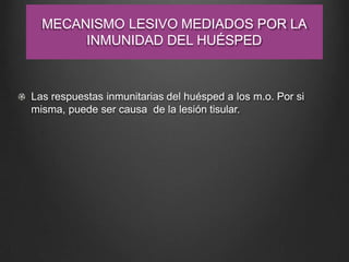 MECANISMO LESIVO MEDIADOS POR LA
INMUNIDAD DEL HUÉSPED
Las respuestas inmunitarias del huésped a los m.o. Por si
misma, puede ser causa de la lesión tisular.
 
